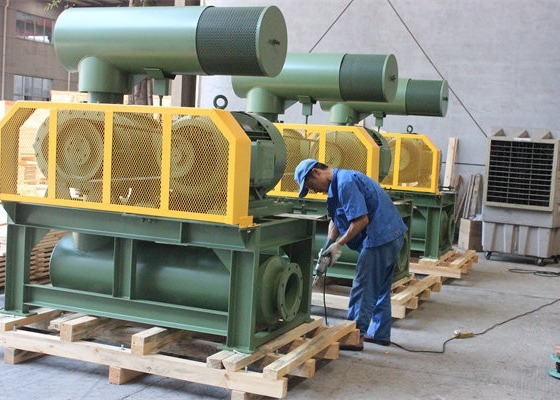 10" 80kpa 71.52m3/Min 132kw Cast Iron Tiga Lobe Roots Blower