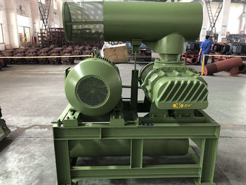 DN65 tiga Lobe Roots tipe udara Blower BK5003 untuk pengolahan air,pengolahan air limbah,Akuakultur dan peternakan ikan