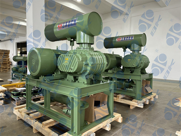 65m3/Min 0.06Mpa Cast Iron Three Lobe Roots Blower Untuk Pneumatic Conveying