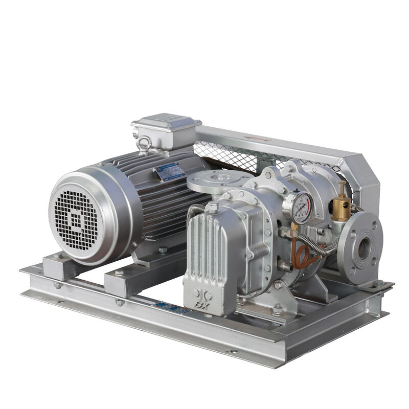 BX100 4'' 3.18-11.74 m3/min 0.1-0.7 kgf/cm2 BX Series Stainless Steel Roots Blower