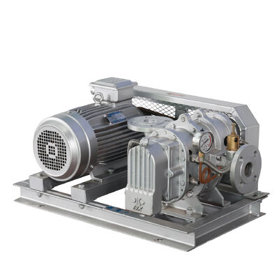 BX100 4'' 3.18-11.74 m3/min 0.1-0.7 kgf/cm2 BX Series Stainless Steel Roots Blower