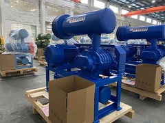 Jenis baru peniup akar pengolahan air