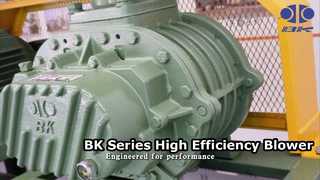 Root Blower Seri BK